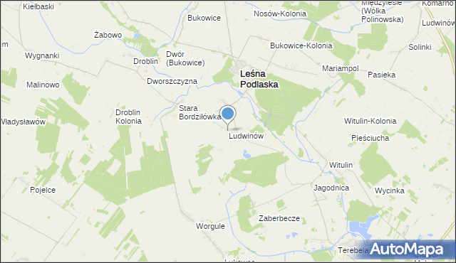 mapa Ludwinów, Ludwinów gmina Leśna Podlaska na mapie Targeo